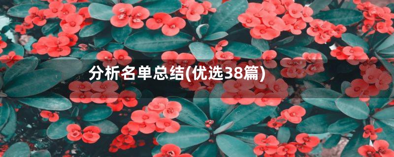 分析名单总结(优选38篇)