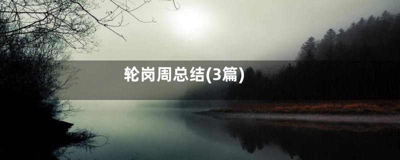 轮岗周总结(3篇)