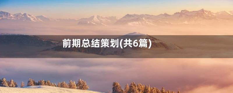 前期总结策划(共6篇)