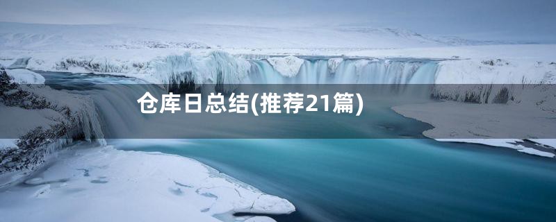 仓库日总结(推荐21篇)