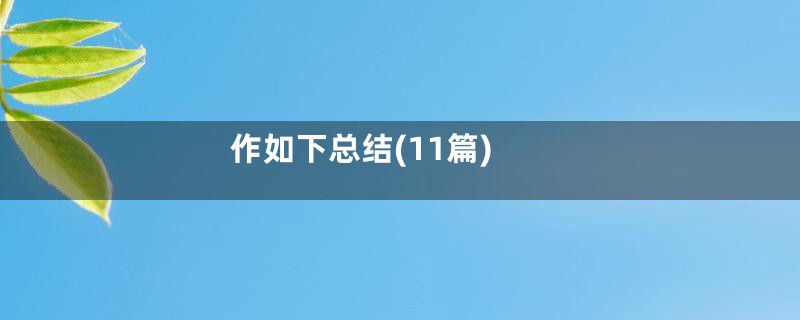作如下总结(11篇)