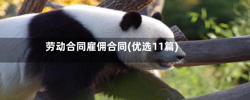劳动合同雇佣合同(优选11篇)