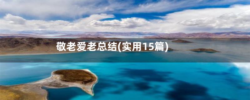 敬老爱老总结(实用15篇)