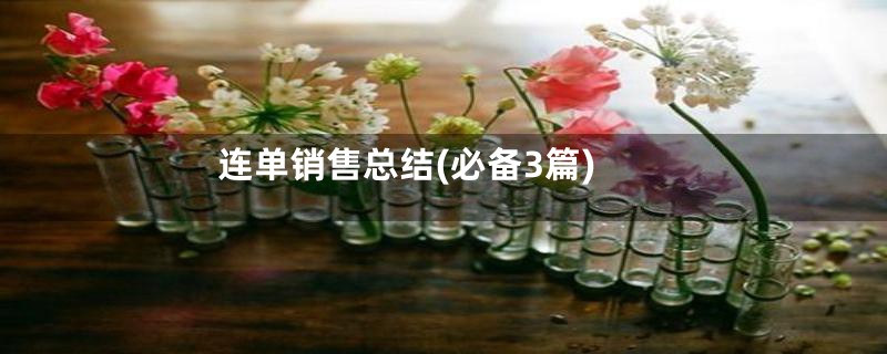 连单销售总结(必备3篇)