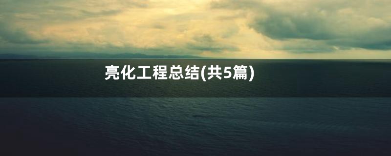 亮化工程总结(共5篇)