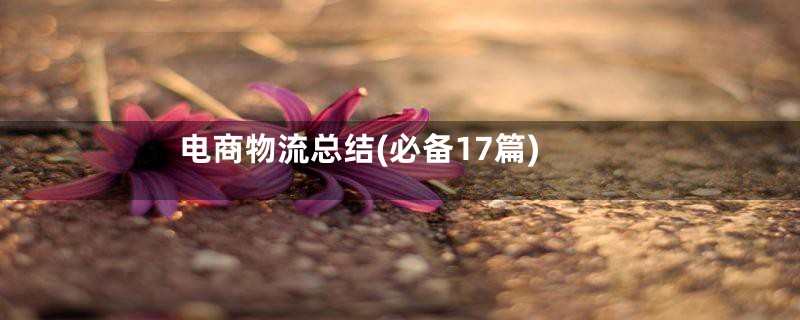 电商物流总结(必备17篇)