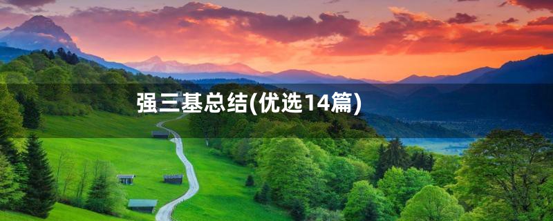 强三基总结(优选14篇)