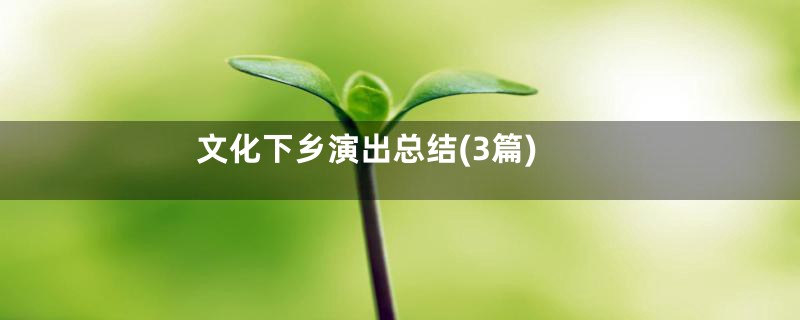 文化下乡演出总结(3篇)