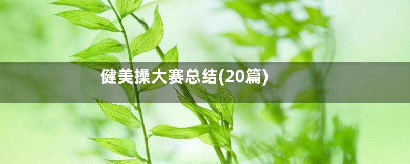 健美操大赛总结(20篇)