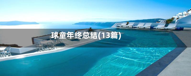 球童年终总结(13篇)
