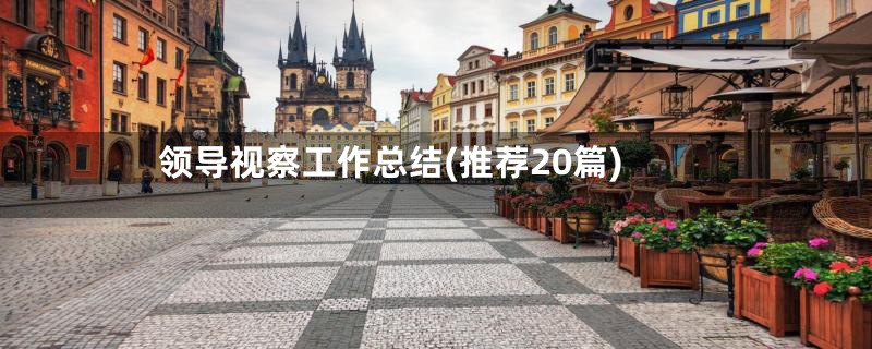 领导视察工作总结(推荐20篇)