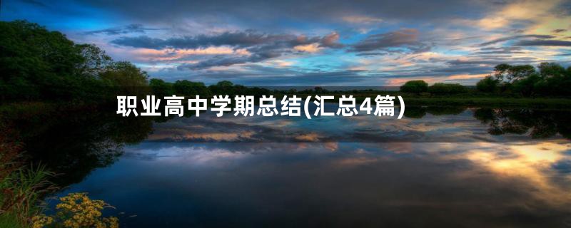 职业高中学期总结(汇总4篇)