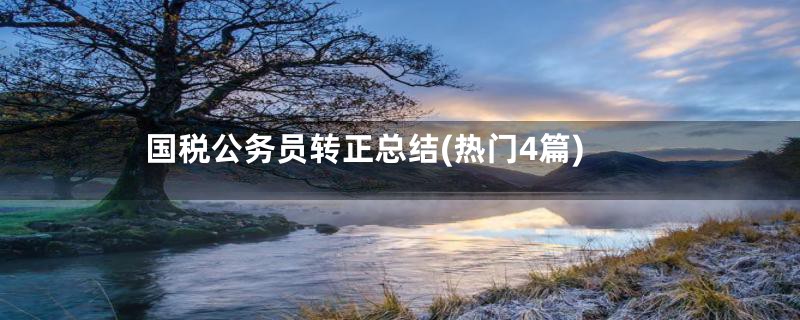 国税公务员转正总结(热门4篇)