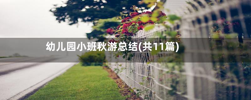 幼儿园小班秋游总结(共11篇)
