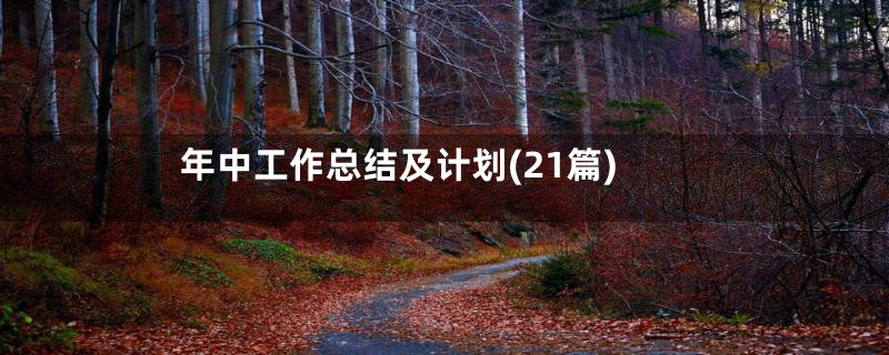 年中工作总结及计划(21篇)