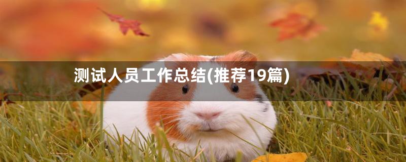 测试人员工作总结(推荐19篇)