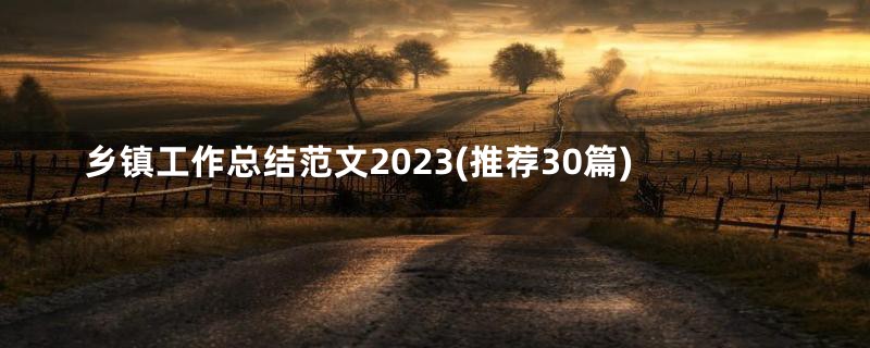 乡镇工作总结范文2023(推荐30篇)