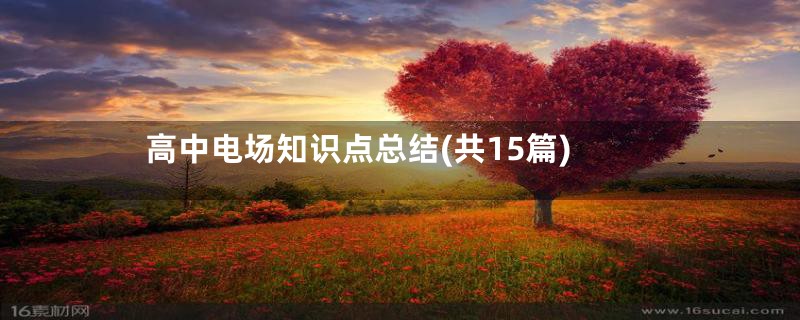 高中电场知识点总结(共15篇)