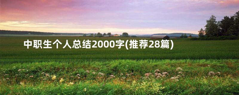 中职生个人总结2000字(推荐28篇)