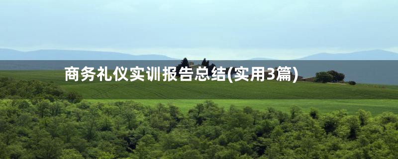 商务礼仪实训报告总结(实用3篇)