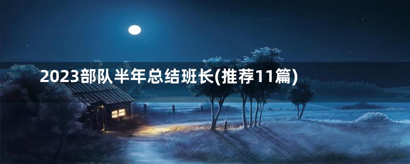 2023部队半年总结班长(推荐11篇)