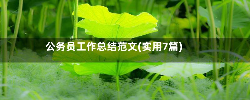 公务员工作总结范文(实用7篇)
