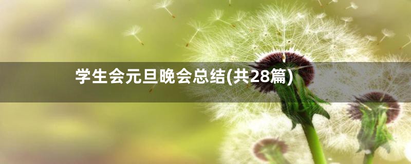 学生会元旦晚会总结(共28篇)