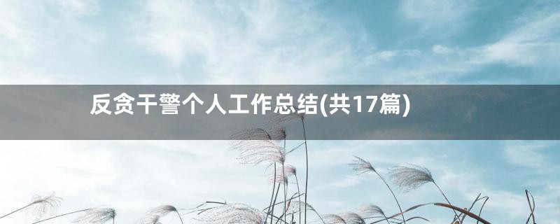反贪干警个人工作总结(共17篇)