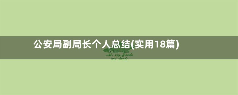 公安局副局长个人总结(实用18篇)