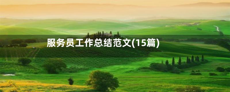 服务员工作总结范文(15篇)
