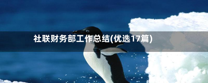 社联财务部工作总结(优选17篇)