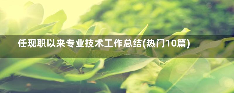 任现职以来专业技术工作总结(热门10篇)