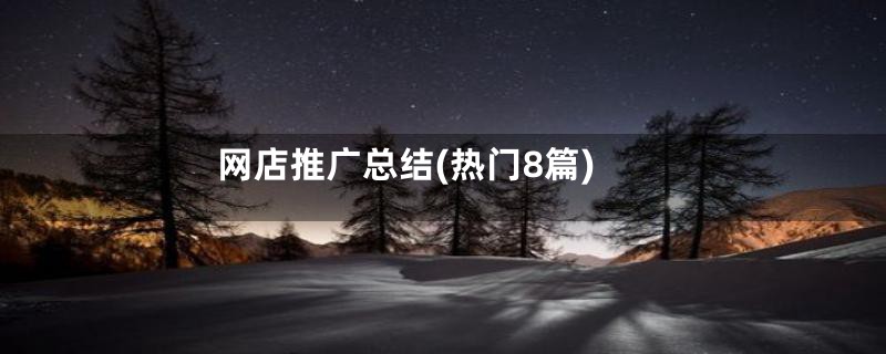 网店推广总结(热门8篇)