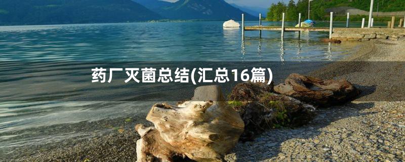 药厂灭菌总结(汇总16篇)