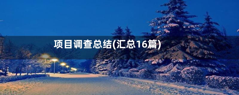 项目调查总结(汇总16篇)