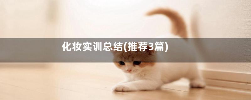 化妆实训总结(推荐3篇)