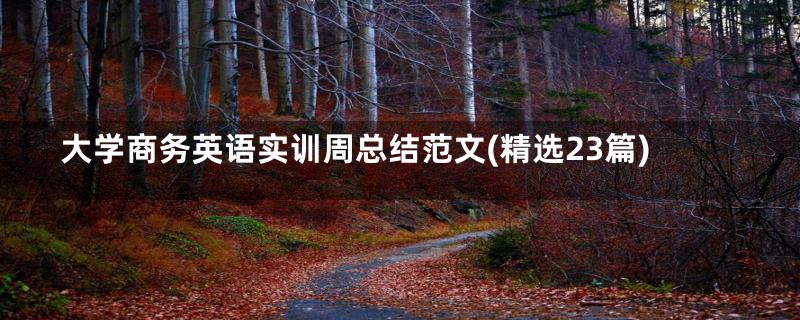 大学商务英语实训周总结范文(精选23篇)