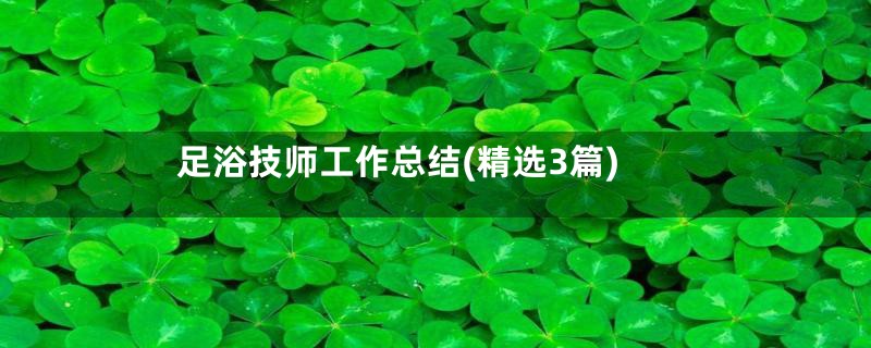 足浴技师工作总结(精选3篇)