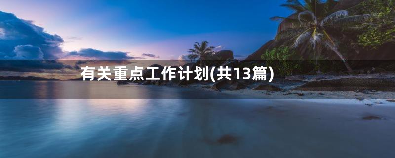 有关重点工作计划(共13篇)