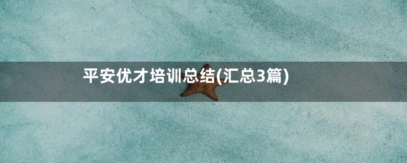 平安优才培训总结(汇总3篇)