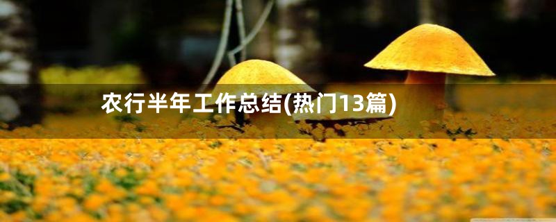 农行半年工作总结(热门13篇)