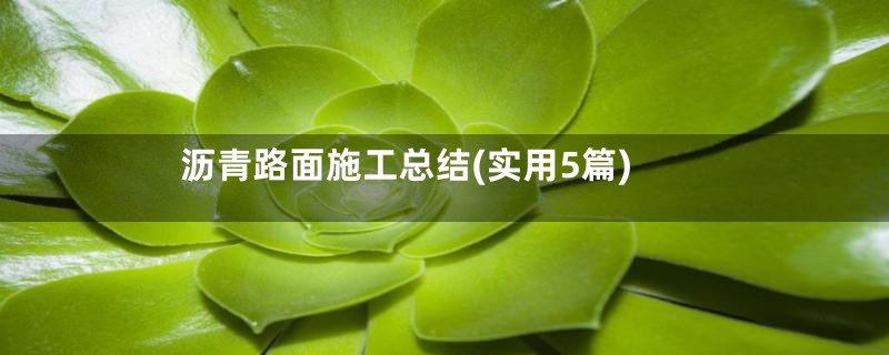 沥青路面施工总结(实用5篇)