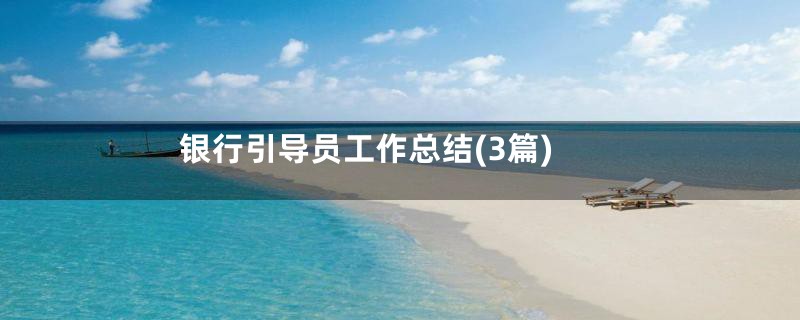 银行引导员工作总结(3篇)