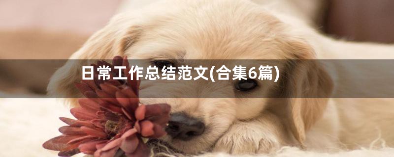 日常工作总结范文(合集6篇)