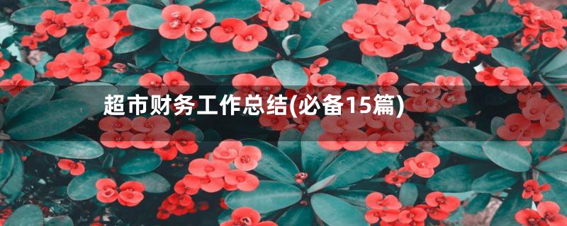 超市财务工作总结(必备15篇)