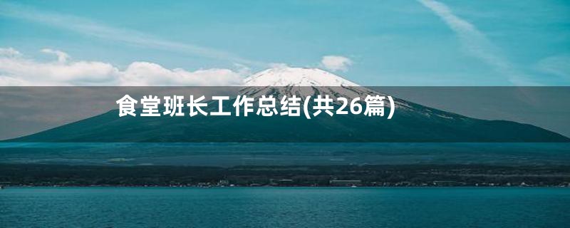 食堂班长工作总结(共26篇)