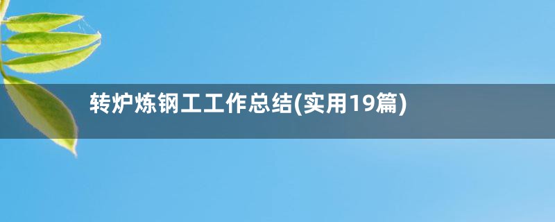 转炉炼钢工工作总结(实用19篇)