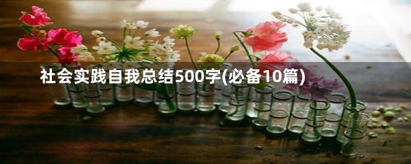社会实践自我总结500字(必备10篇)