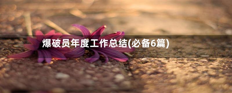 爆破员年度工作总结(必备6篇)