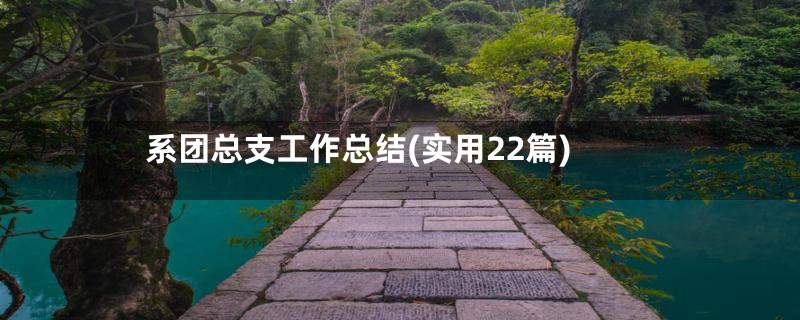 系团总支工作总结(实用22篇)